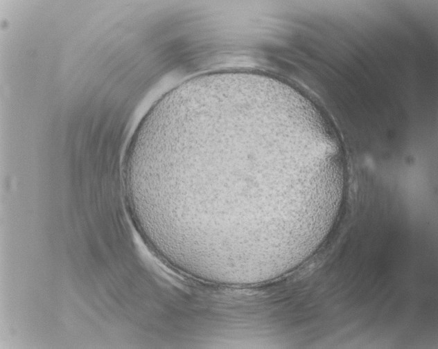 X0000051921475200507152044