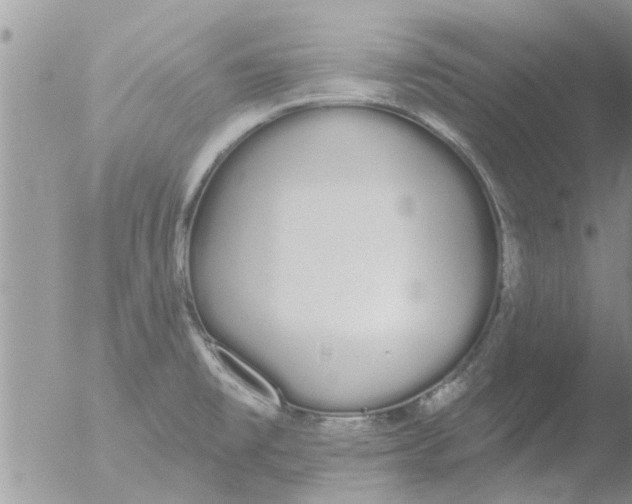 X0000051921477200507152044