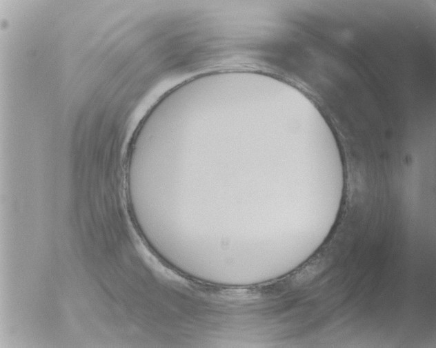 X0000051921478200507152044