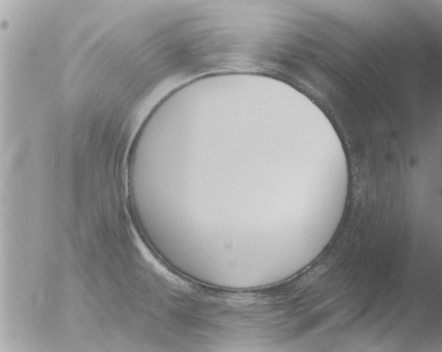 X0000051921479200507152044