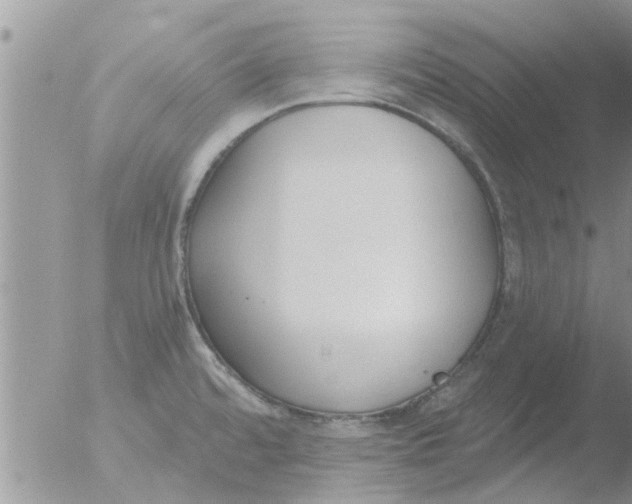 X0000051921480200507152044