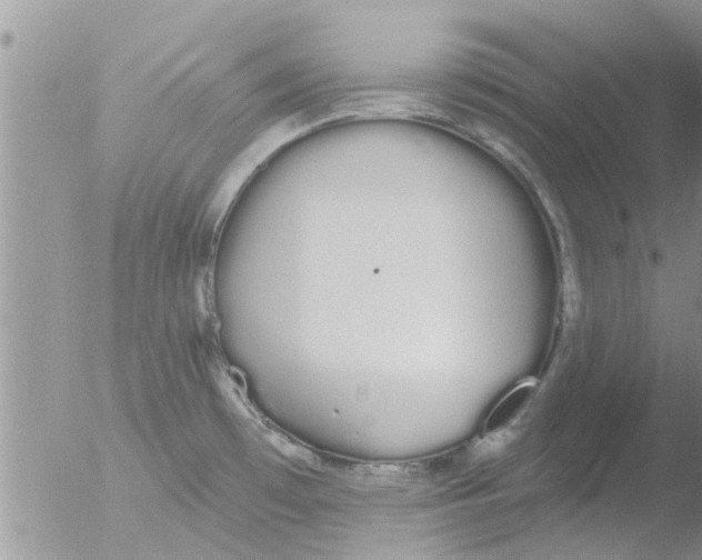 X0000051921481200507152044