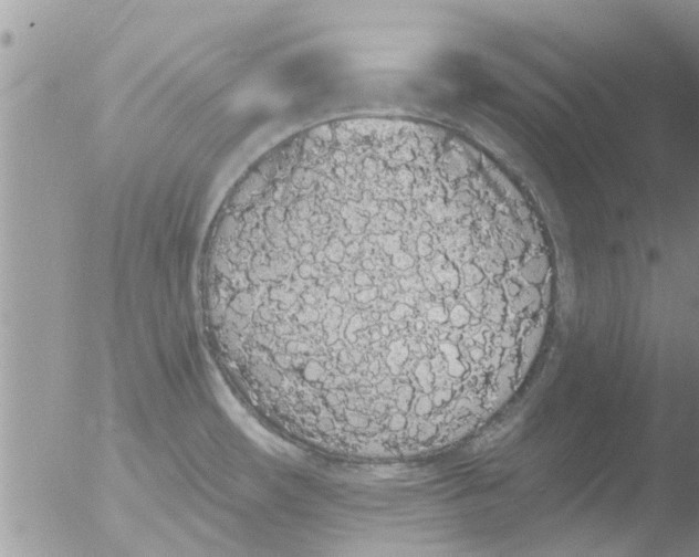 X0000051921482200507152044