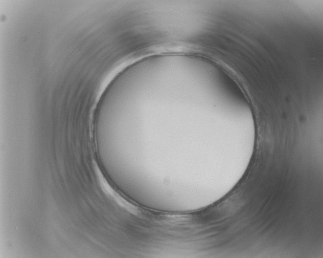 X0000051921483200507152044