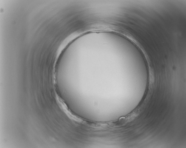 X0000051921485200507152044