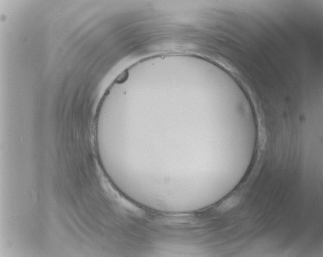 X0000051921486200507152044