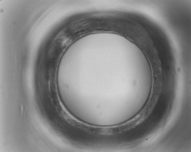 X0000051921487200507152044