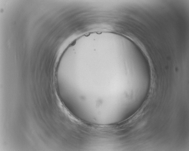 X0000051921488200507152044