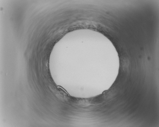 X0000051921489200507152043