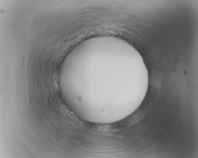 X0000051921490200507152043