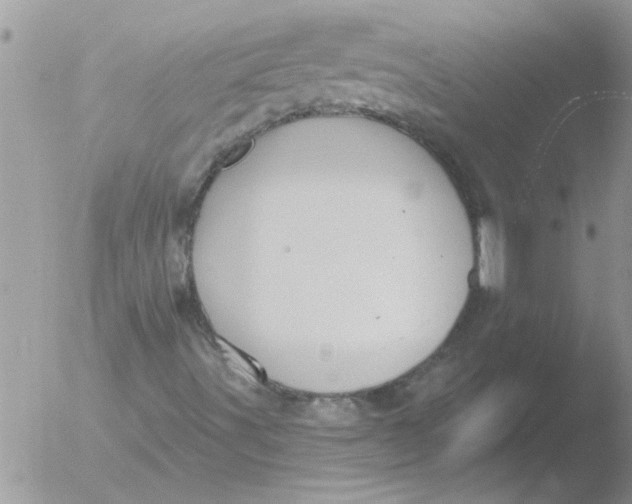 X0000051921491200507152043