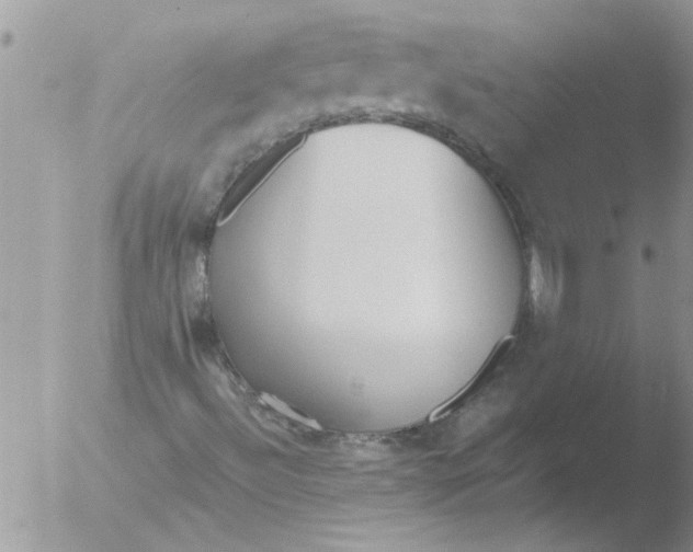 X0000051921492200507152043