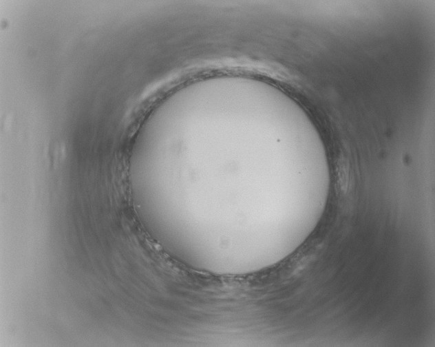 X0000051921494200507152043