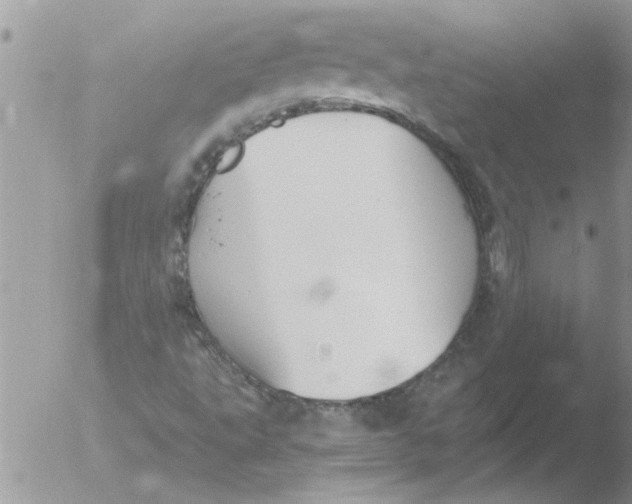 X0000051921495200507152043