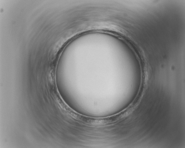 X0000051921497200507152043