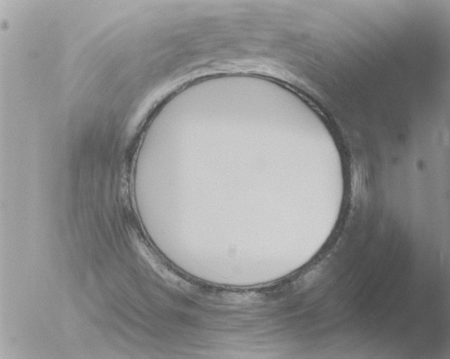 X0000051921498200507152043