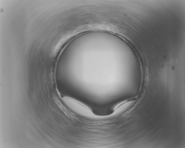 X0000051921499200507152043