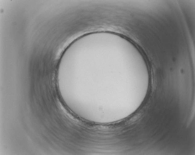 X0000051921500200507152043