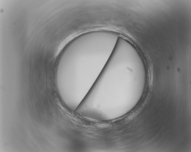 X0000051921501200507152043