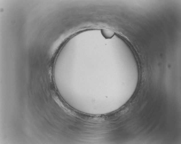 X0000051921503200507152043