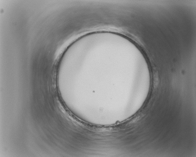 X0000051921504200507152043