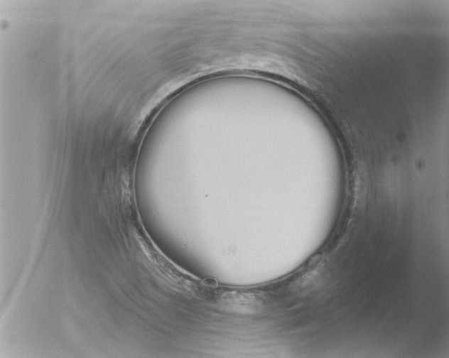 X0000051921505200507152043