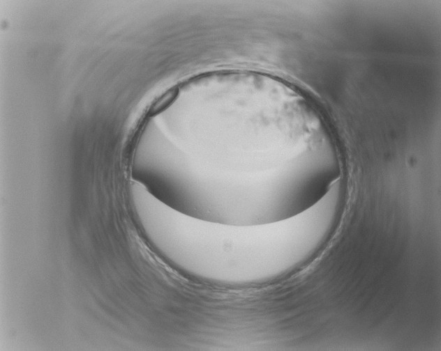 X0000051921506200507152043