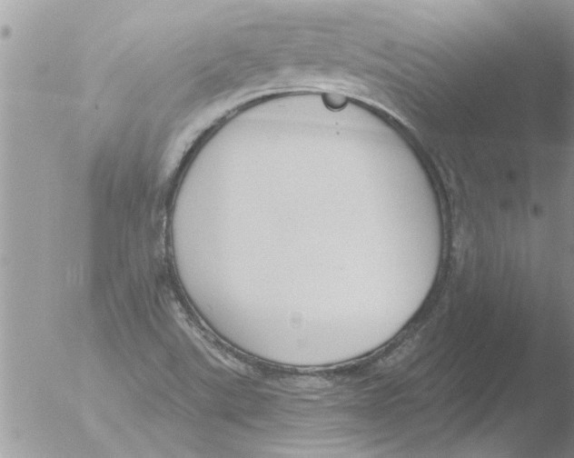 X0000051921507200507152043