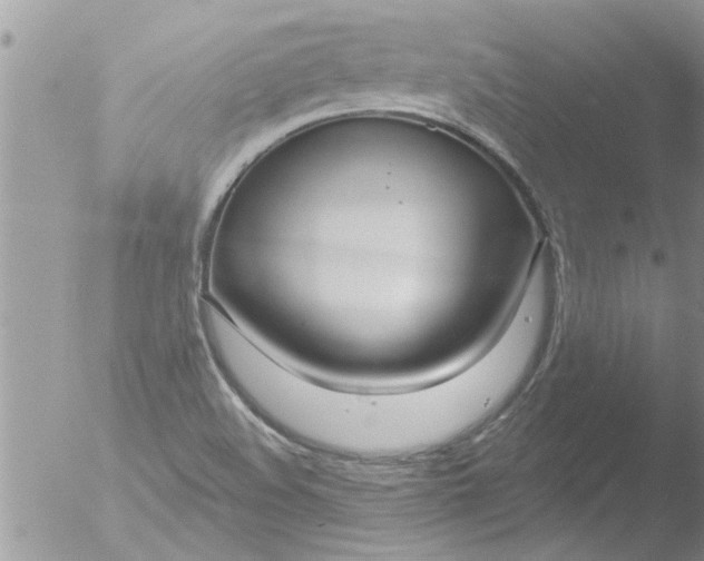 X0000051921508200507152043