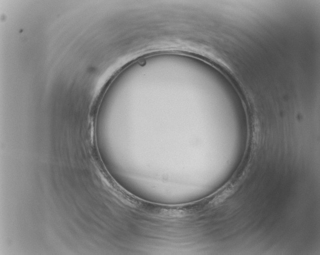 X0000051921509200507152043