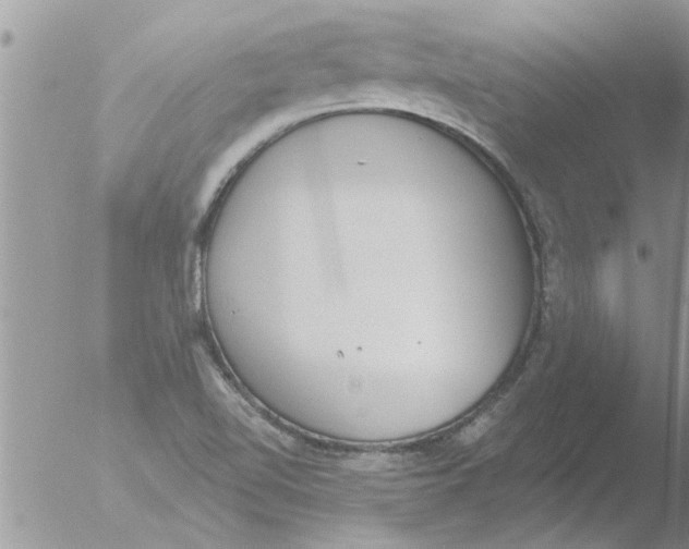 X0000051921510200507152043