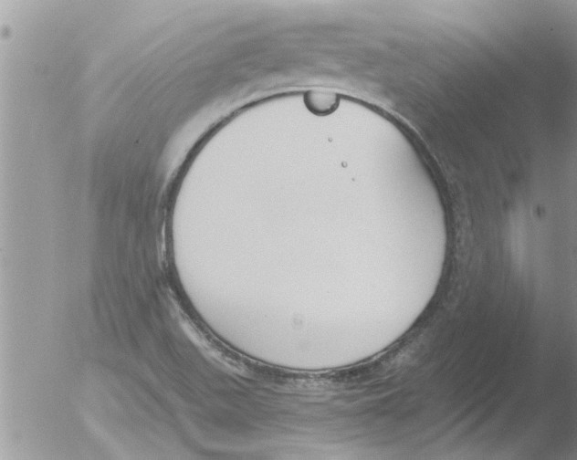 X0000051921511200507152043