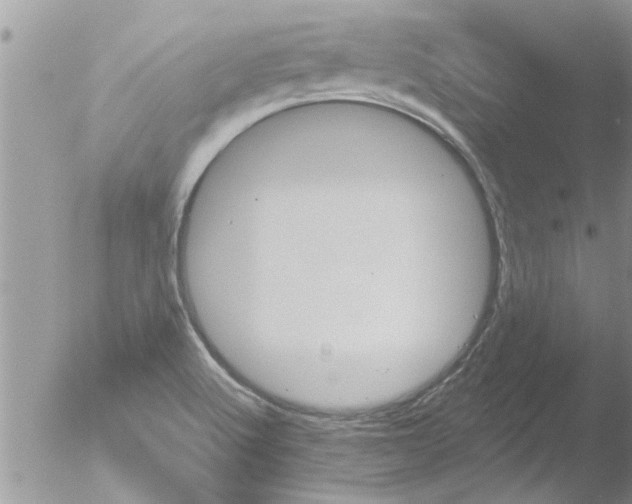 X0000051921512200507152043