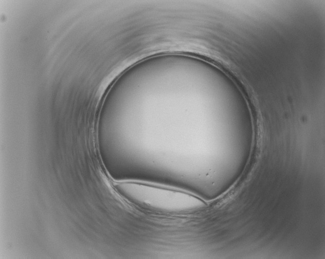 X0000051921513200507152043