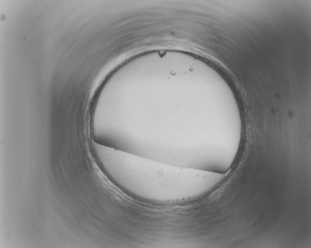 X0000051921514200507152043