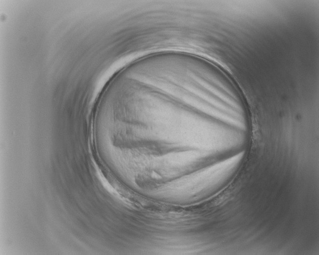 X0000051921515200507152043