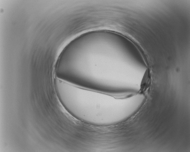 X0000051921516200507152043