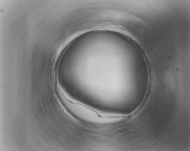 X0000051921517200507152043