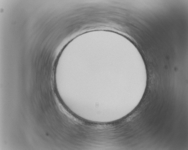 X0000051921518200507152043