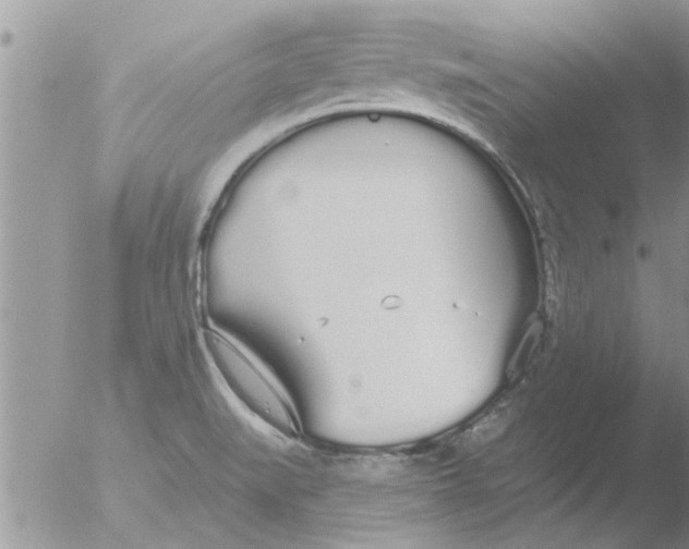 X0000051921519200507152043