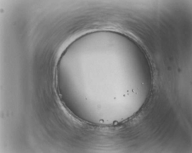 X0000051921520200507152043