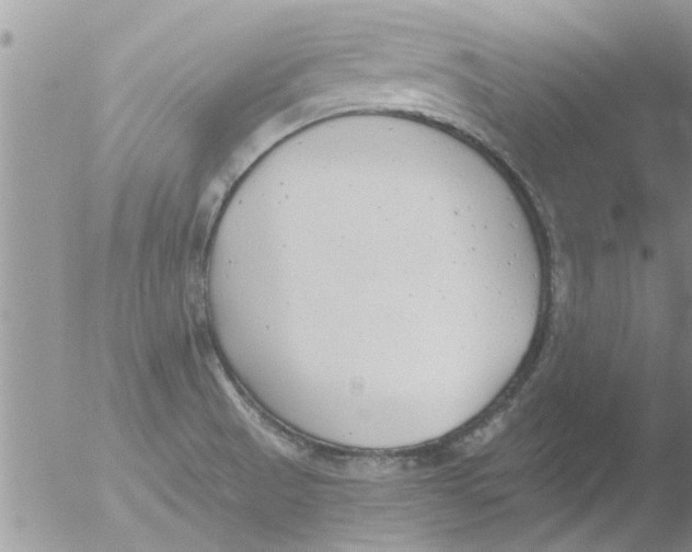 X0000051921521200507152043