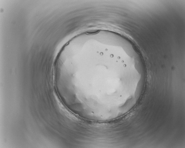 X0000051921522200507152043