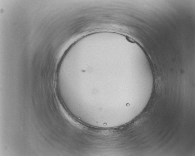 X0000051921523200507152044