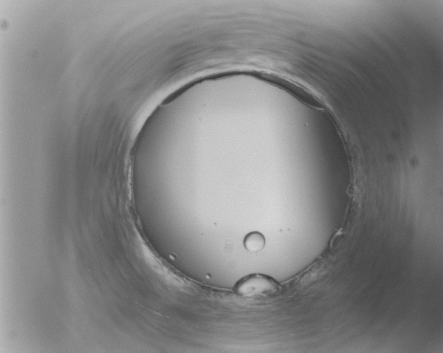 X0000051921524200507152044