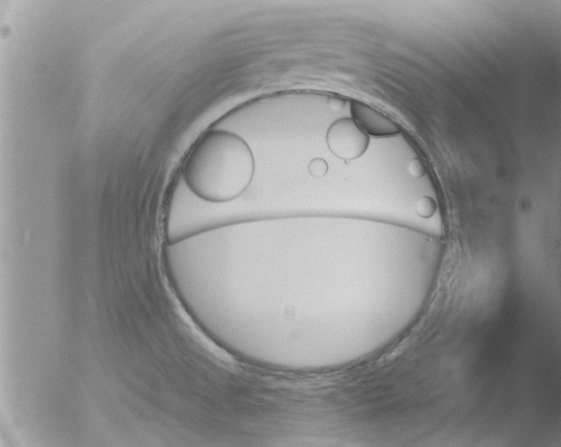 X0000051921525200507152044