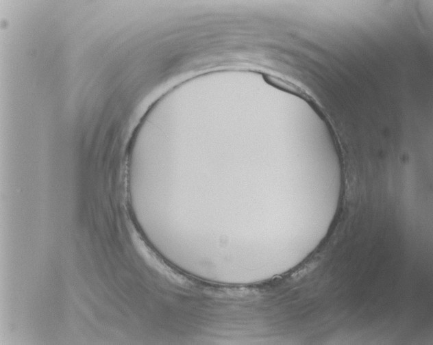 X0000051921526200507152044