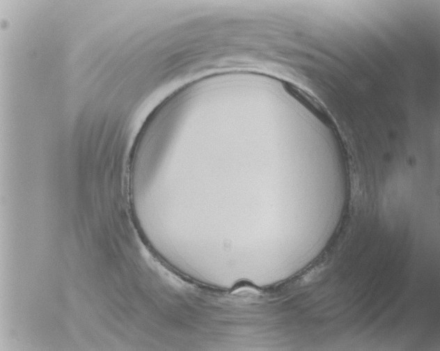 X0000051921527200507152044