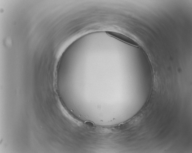 X0000051921528200507152044