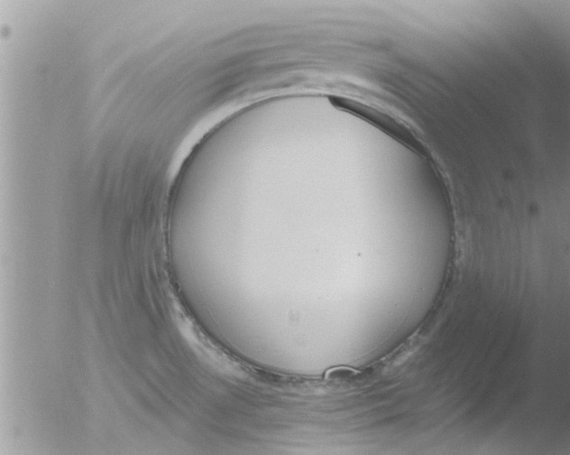 X0000051921530200507152044